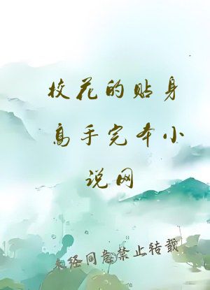 校花的贴身高手完本小说网